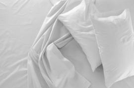 Funda almohada blanca 100% algodón peinado y Mercerizado, modelo MORITZ