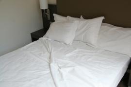 Extra white sheet (50% cotton-50% polyester) and cards (100% cotton)
